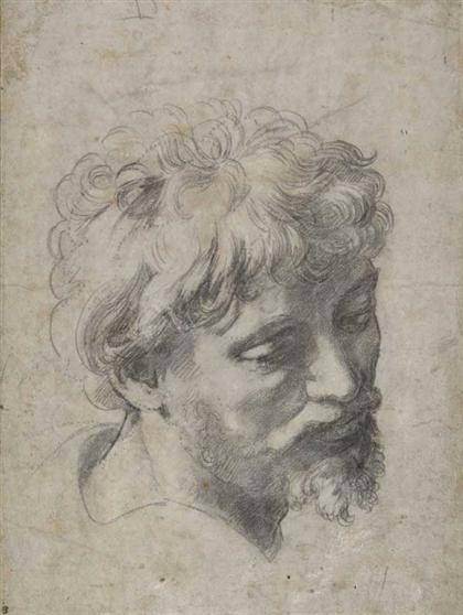 Raphael — 'Head of a Young Apostle'
